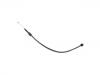 油门线 Accelerator Cable:77 00 802 691