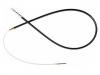 Seilzug, Feststellbremse Brake Cable:34 41 1 160 874