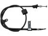 Seilzug, Feststellbremse Brake Cable:50505484