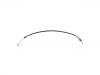 Seilzug, Feststellbremse Brake Cable:1361716080